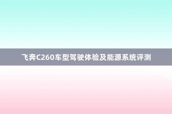 飞奔C260车型驾驶体验及能源系统评测